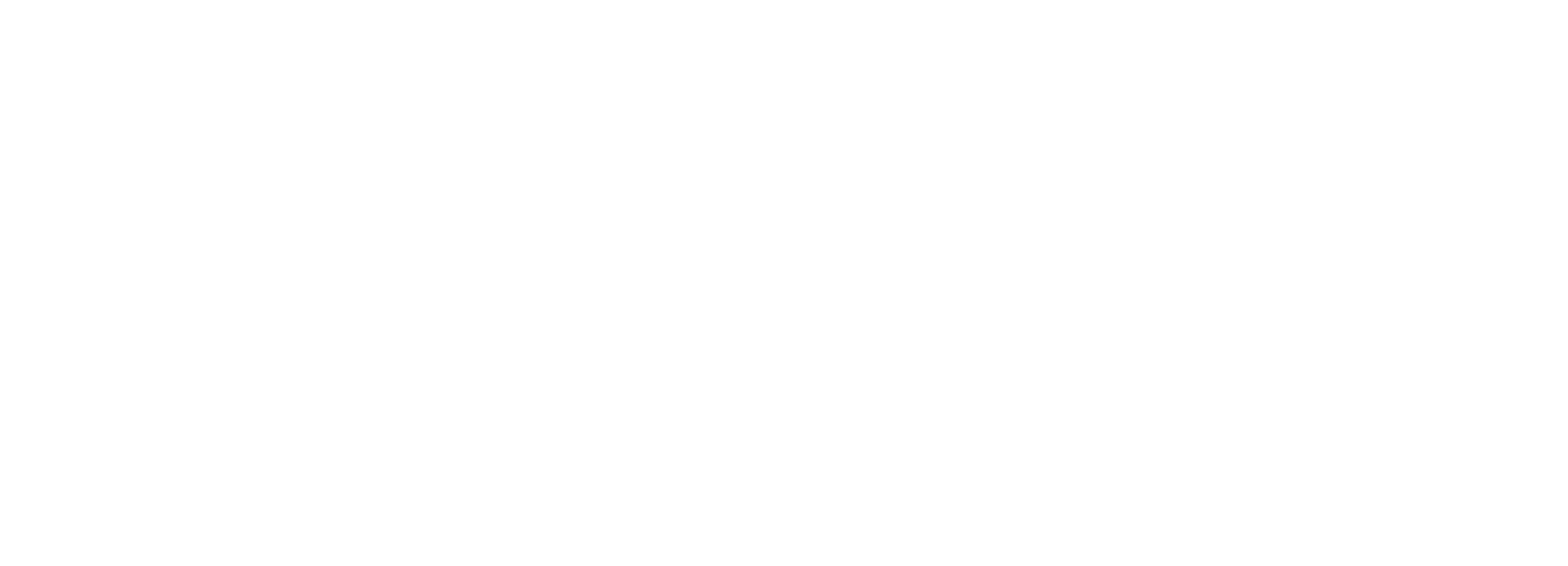heal-summit-2020-logo-weiss